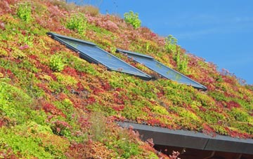 Farthing Corner living roof systems